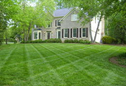 Looking Sharpe Landscapes yard maintenance 048