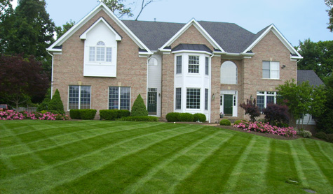 Looking Sharpe Landscapes yard maintenance 475