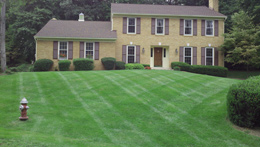 Looking Sharpe Landscapes yard maintenance 574